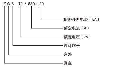 户外高压真空断路器型号含义3