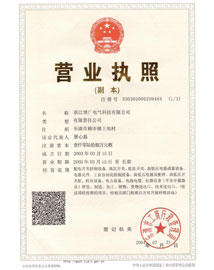 Organization code certificate